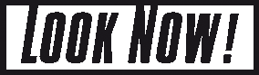 LookNow-logo Kopie